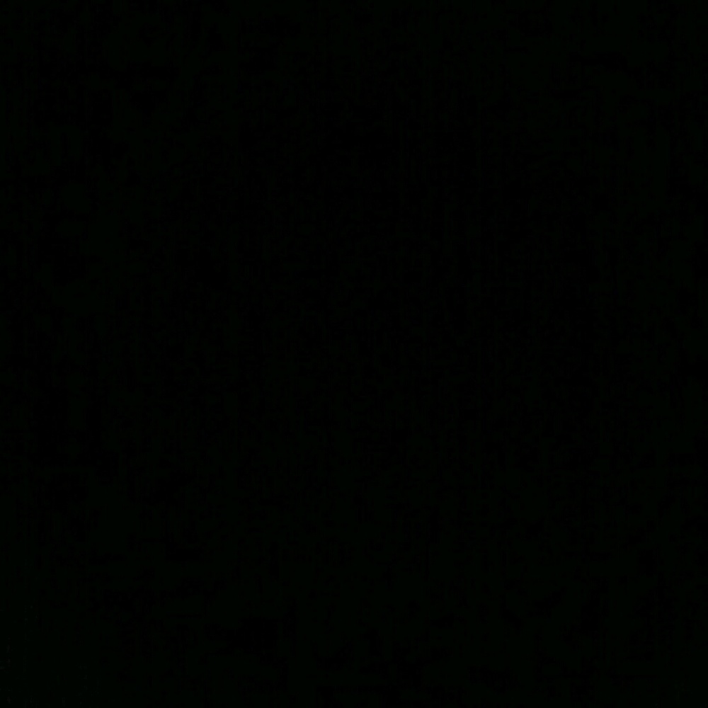 Meet your Posher, Misty